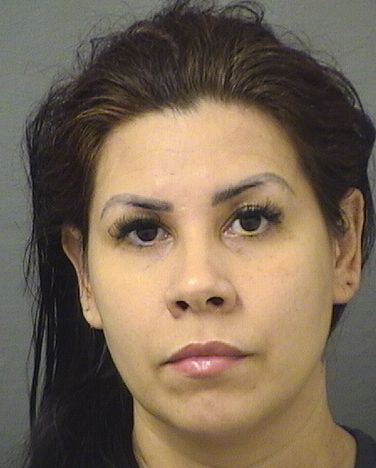  KARINA DE OLIVEIRA SANTIAGO Results from Palm Beach County Florida for  KARINA DE OLIVEIRA SANTIAGO