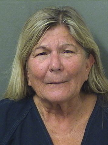  HEATHER CHRISTINE AIELLO Results from Palm Beach County Florida for  HEATHER CHRISTINE AIELLO