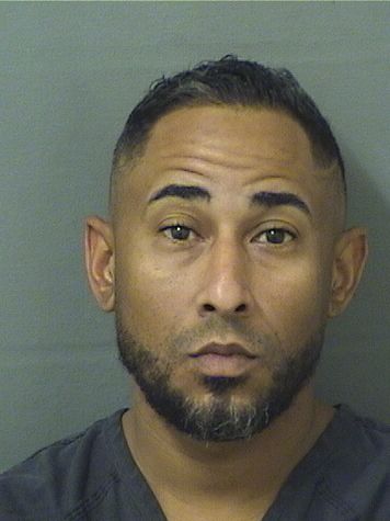  CHRISTIAN DIONEL FLORESSOTO Results from Palm Beach County Florida for  CHRISTIAN DIONEL FLORESSOTO