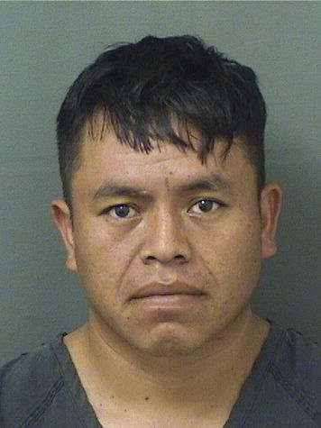  MIGUEL PEDROMARROQUIN Results from Palm Beach County Florida for  MIGUEL PEDROMARROQUIN