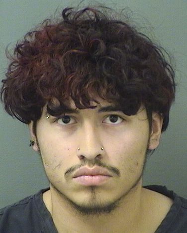  DYLAN ALVAREZ Resultados de la busqueda para Palm Beach County Florida para  DYLAN ALVAREZ