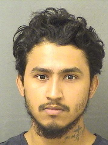  GERSON MOLINAVELASQUEZ Results from Palm Beach County Florida for  GERSON MOLINAVELASQUEZ