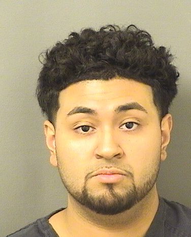  NOEL MARCELO RUIZ Resultados de la busqueda para Palm Beach County Florida para  NOEL MARCELO RUIZ