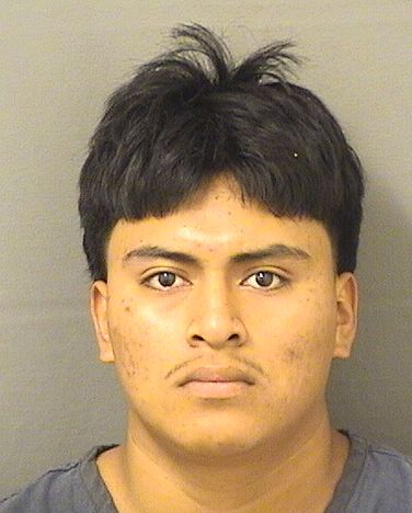  AUNER ODBELY PEREZGOMEZ Resultados de la busqueda para Palm Beach County Florida para  AUNER ODBELY PEREZGOMEZ