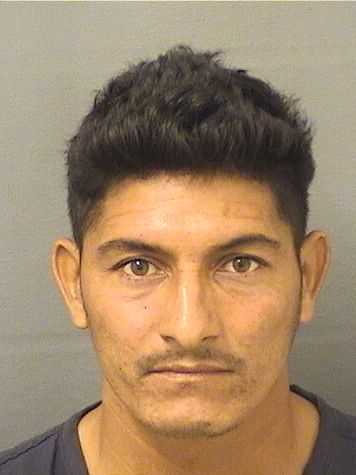  JOSE ISRAEL MACHADO Resultados de la busqueda para Palm Beach County Florida para  JOSE ISRAEL MACHADO