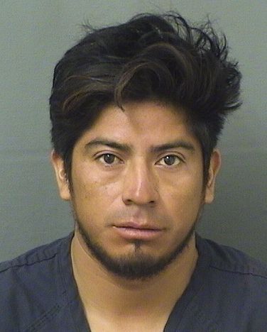  IRINEO JEREMIAS DOMINGO VELASQUEZ Resultados de la busqueda para Palm Beach County Florida para  IRINEO JEREMIAS DOMINGO VELASQUEZ