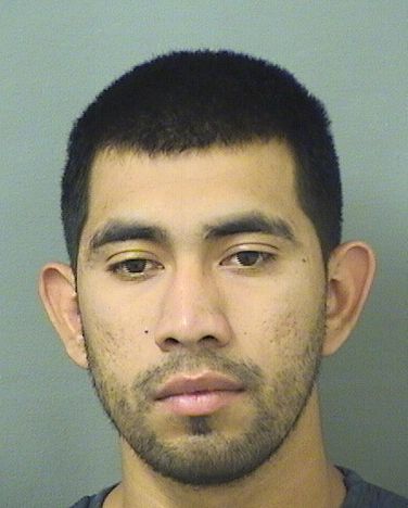  ROGER A CALDERON CENTENO Resultados de la busqueda para Palm Beach County Florida para  ROGER A CALDERON CENTENO