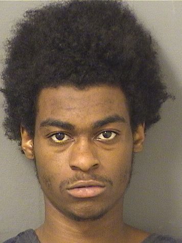  EDWARD C GONZALES Resultados de la busqueda para Palm Beach County Florida para  EDWARD C GONZALES