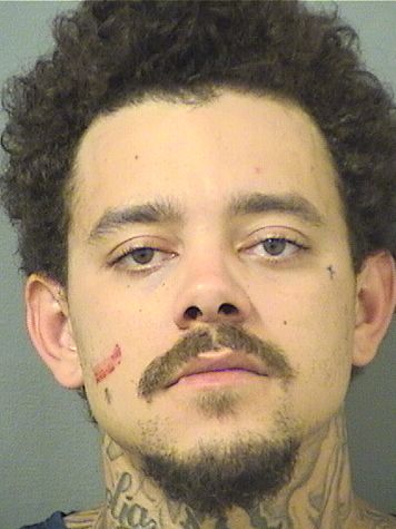  ALEXANDER G IRWIN Resultados de la busqueda para Palm Beach County Florida para  ALEXANDER G IRWIN