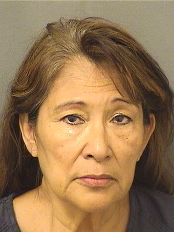  ANA CECILIA CASTILLOGOMEZ Resultados de la busqueda para Palm Beach County Florida para  ANA CECILIA CASTILLOGOMEZ