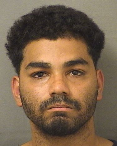  MICHAEL JESUS GONZALEZ Resultados de la busqueda para Palm Beach County Florida para  MICHAEL JESUS GONZALEZ