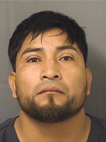  MELVIN BERSAIN ROBLEROORTIZ Resultados de la busqueda para Palm Beach County Florida para  MELVIN BERSAIN ROBLEROORTIZ