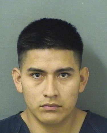  MAURO ALONSO COLESAGUALONGO Resultados de la busqueda para Palm Beach County Florida para  MAURO ALONSO COLESAGUALONGO