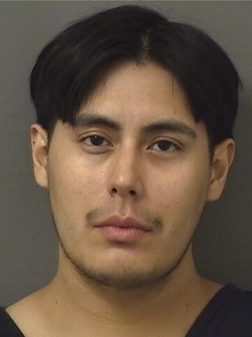  DELWIN GESERYANSEN REYESGONZALEZ Resultados de la busqueda para Palm Beach County Florida para  DELWIN GESERYANSEN REYESGONZALEZ