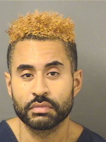  MICHAEL PATRICIO VERGARA Photo