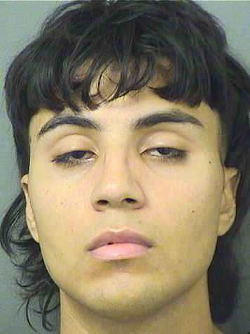  JOSE DANIEL DELAROSAURIBE Resultados de la busqueda para Palm Beach County Florida para  JOSE DANIEL DELAROSAURIBE