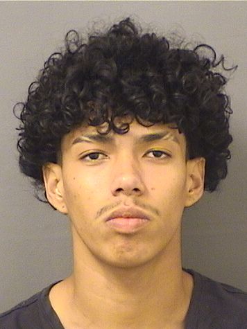  ROBERTO JOSE VALLECILLO Resultados de la busqueda para Palm Beach County Florida para  ROBERTO JOSE VALLECILLO