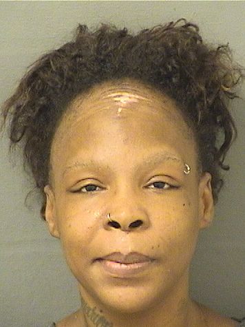  SHANTEAI LASHAWN MANN Resultados de la busqueda para Palm Beach County Florida para  SHANTEAI LASHAWN MANN