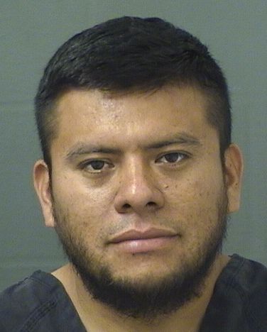  MISAEL I LOPEZ Results from Palm Beach County Florida for  MISAEL I LOPEZ