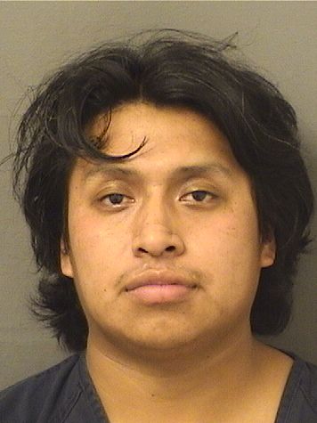  GERSON JOSUE LOPEZPAXTOR Results from Palm Beach County Florida for  GERSON JOSUE LOPEZPAXTOR