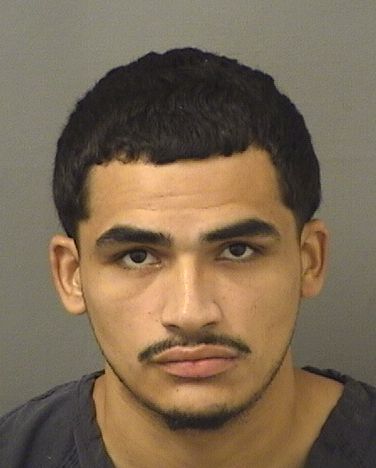  JASON GONZALEZ Results from Palm Beach County Florida for  JASON GONZALEZ