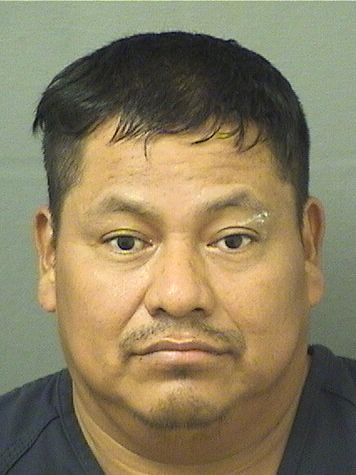  ANDRES LOPERTOTZEP Results from Palm Beach County Florida for  ANDRES LOPERTOTZEP