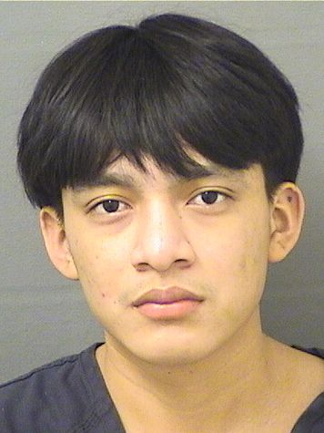  JUAN LEONARDO GOMEZ PELICO Resultados de la busqueda para Palm Beach County Florida para  JUAN LEONARDO GOMEZ PELICO
