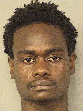  REGINALD MARTAY SMITH Results from Palm Beach County Florida for  REGINALD MARTAY SMITH
