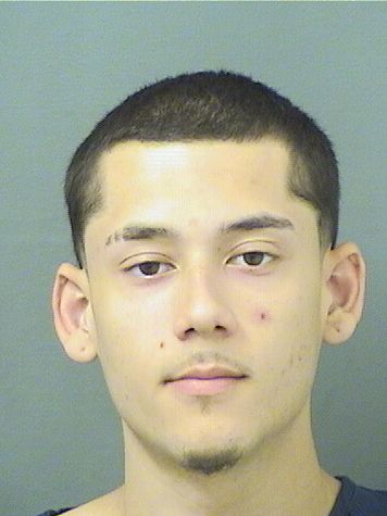  ANTHONY CARABALLO Results from Palm Beach County Florida for  ANTHONY CARABALLO