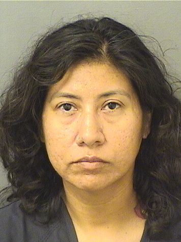  YOLANDA ALEJANDRA SAMPERIOPALAFOX Resultados de la busqueda para Palm Beach County Florida para  YOLANDA ALEJANDRA SAMPERIOPALAFOX