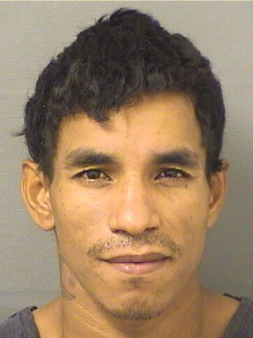  FABIAN LEONARD JEFFRIESGUARDADO Results from Palm Beach County Florida for  FABIAN LEONARD JEFFRIESGUARDADO