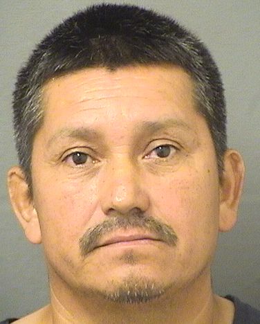  REYNALDO A UMANA Resultados de la busqueda para Palm Beach County Florida para  REYNALDO A UMANA