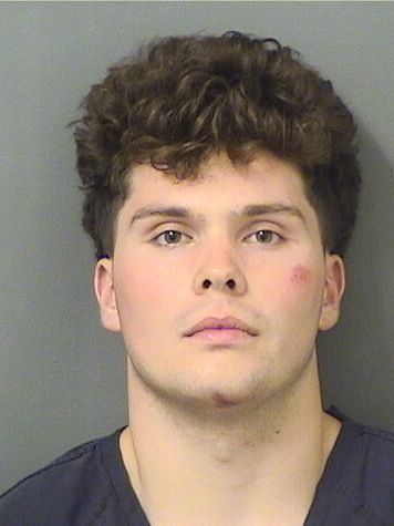  NICHOLAS LEWIN Results from Palm Beach County Florida for  NICHOLAS LEWIN