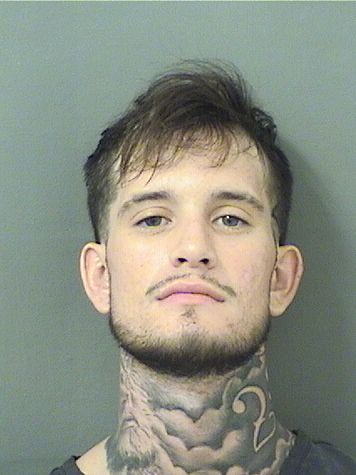  SKYLER MICHAEL BOONE Results from Palm Beach County Florida for  SKYLER MICHAEL BOONE