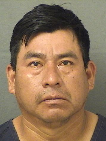  FRANCISCO NUNEZPEREZ Results from Palm Beach County Florida for  FRANCISCO NUNEZPEREZ
