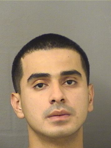  NAHU DANIEL TOBARTUN Results from Palm Beach County Florida for  NAHU DANIEL TOBARTUN