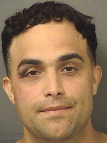  ALEJANDRO LEON Results from Palm Beach County Florida for  ALEJANDRO LEON