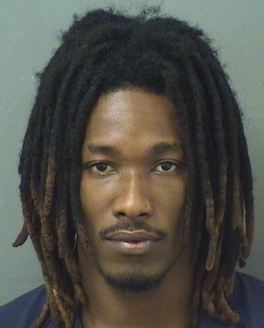  GEORGES DJAMEANSKY MONDESIR Results from Palm Beach County Florida for  GEORGES DJAMEANSKY MONDESIR
