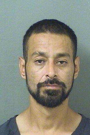  ELMER HERNANDEZ Results from Palm Beach County Florida for  ELMER HERNANDEZ