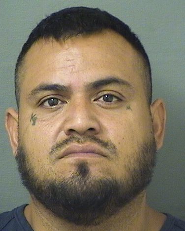  ODILON MONDRAGONSALGADO Results from Palm Beach County Florida for  ODILON MONDRAGONSALGADO