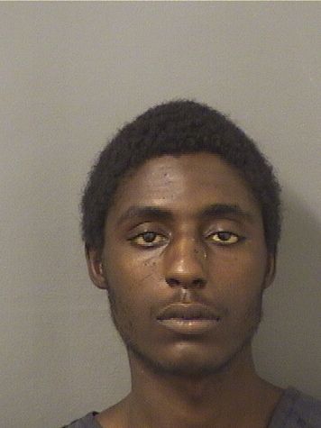 JIRON CHIARMONTE MCKINNEY Resultados de la busqueda para Palm Beach County Florida para  JIRON CHIARMONTE MCKINNEY
