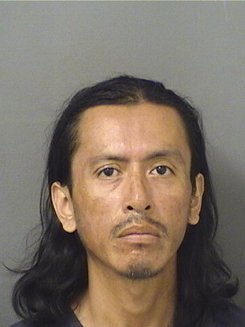  WOCESTER ANDULIO GALVEZROBERO Results from Palm Beach County Florida for  WOCESTER ANDULIO GALVEZROBERO