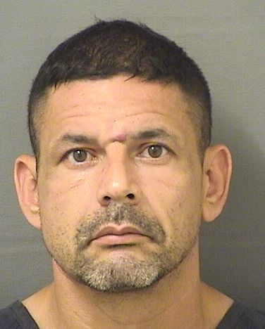  JONATHAN DANOVICH Results from Palm Beach County Florida for  JONATHAN DANOVICH
