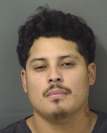 OSCAR ENRIQUE ROSALES Results from Palm Beach County Florida for  OSCAR ENRIQUE ROSALES