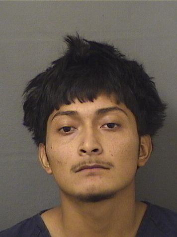  BRANDO MORALESLOPEZ Results from Palm Beach County Florida for  BRANDO MORALESLOPEZ