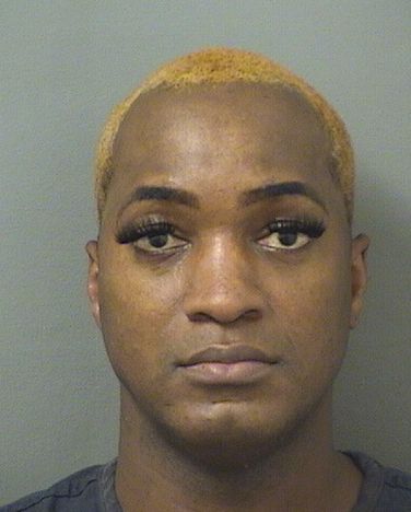  TORREY ANTOINE EVANS Results from Palm Beach County Florida for  TORREY ANTOINE EVANS
