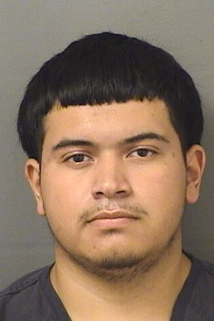  JAMESON ZELAYA CASTANEDA Resultados de la busqueda para Palm Beach County Florida para  JAMESON ZELAYA CASTANEDA