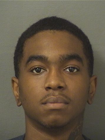  BRALYN BERNARD WOODSON Results from Palm Beach County Florida for  BRALYN BERNARD WOODSON