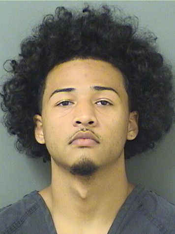  ANDRE KESHAWN MCDUFFIE Results from Palm Beach County Florida for  ANDRE KESHAWN MCDUFFIE