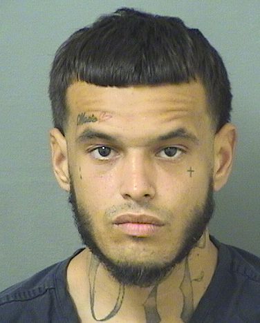  JORDAN JOSE CAMLICHE Results from Palm Beach County Florida for  JORDAN JOSE CAMLICHE